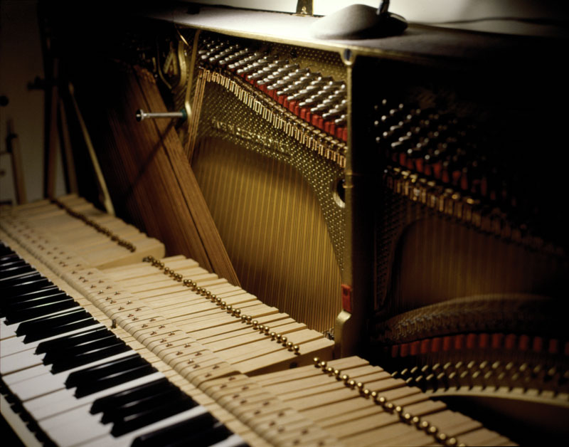 Grande fugue - rudy deceliere