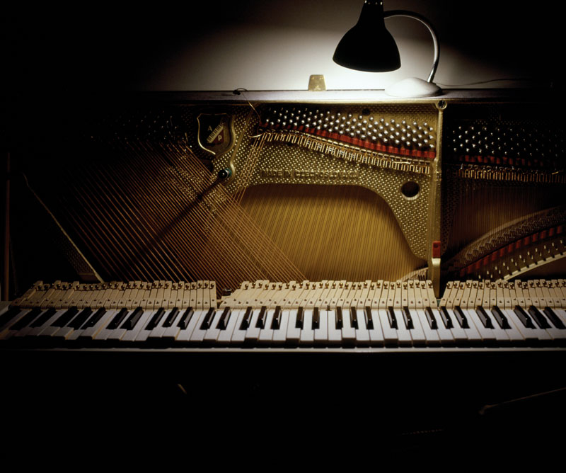 Grande fugue - rudy deceliere