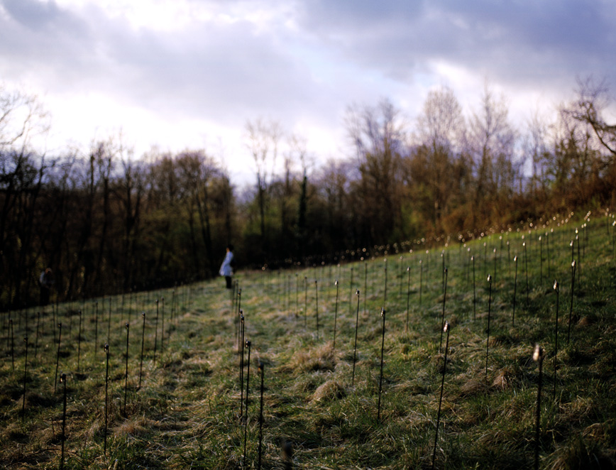 Mille metre sur terre (Archipel) - rudy deceliere